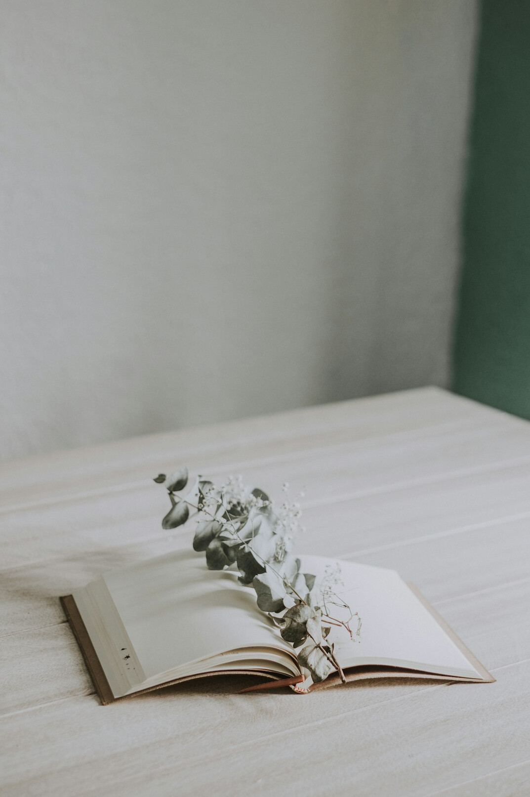 Open book, notebook and cup of coffee on a wooden desk near a window